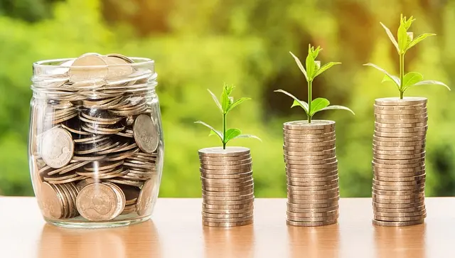 Investment Risk Management Guide for Savvy Investors