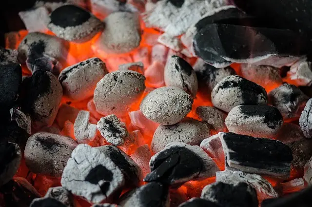Guide d'achat : Le meilleur barbecue pour le Black Friday
