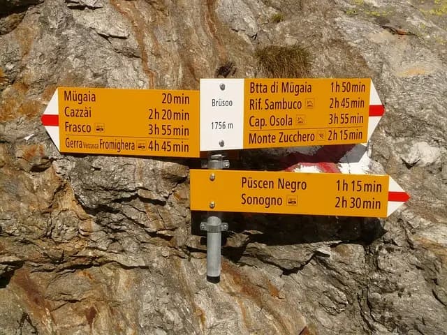 Migliori dessert senza zucchero: guida completa