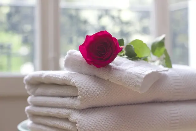 Les Meilleurs Équipements Spa en Hôtel : Guide d'Achat