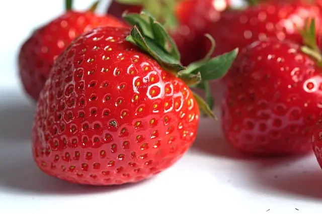 Your Ultimate Guide to Vegan Travel Tips