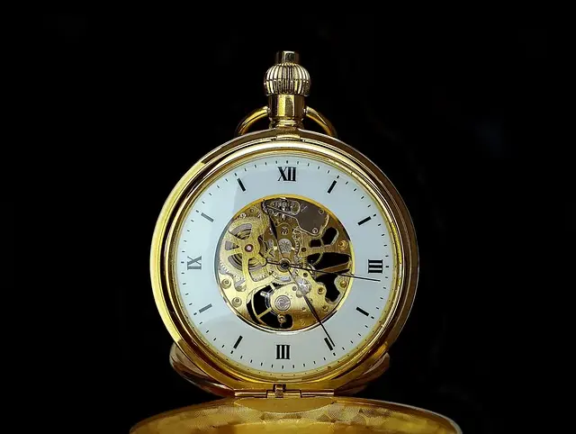 The Ultimate Guide to Luxury Investment Watches