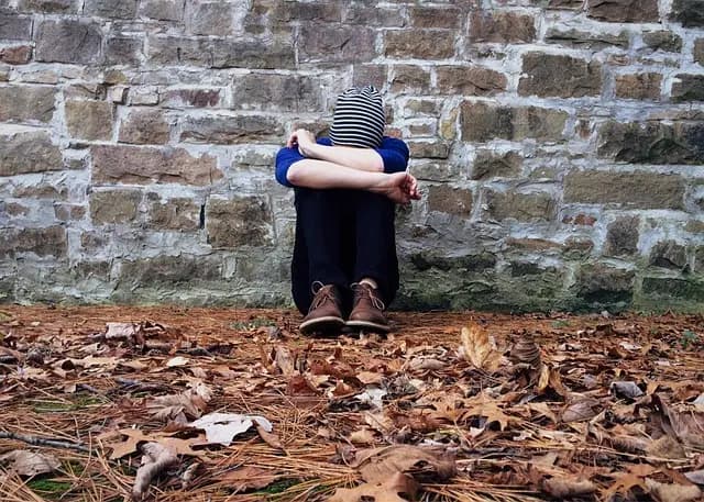 Problemy behawioralne kotów – jak unikać błędów przy zakupie