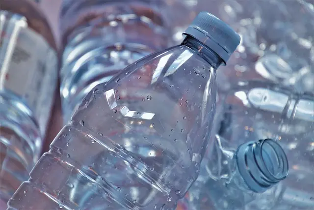Los mejores hoteles eco-friendly: ¡Tu guía completa!