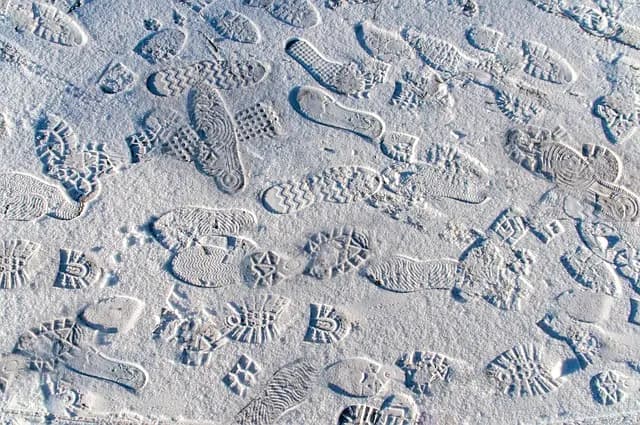 Guide d'achat des meilleures cartouches d'encre pour impressions rapides