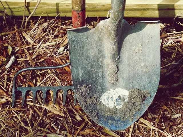 Essential Gardening Tools for Every Green Thumb
