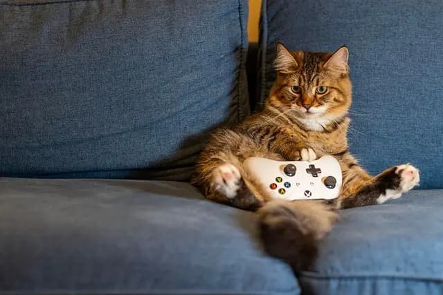 Les meilleurs accessoires pour téléphones gaming