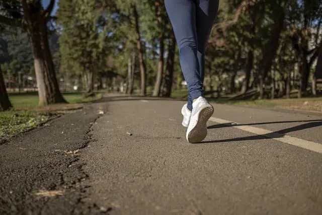Guide d'Achat : Choisir le Meilleur Carrelage pour Salle de Sport