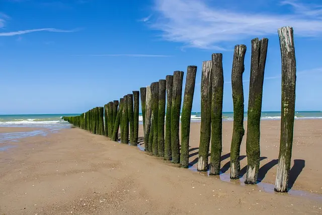 Guide d'achat des meilleures sandales de plage pour enfants
