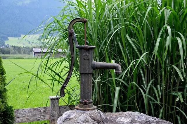 Guide d'Achat : Meilleure Pompe Solaire pour Irrigation