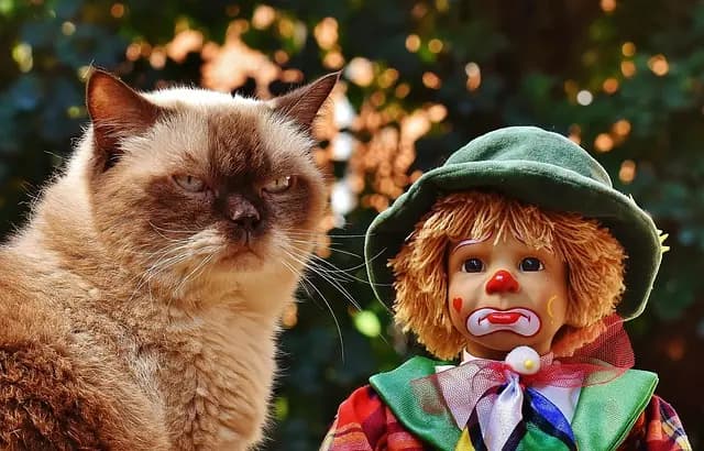 Top Cat Toys Buying Guide