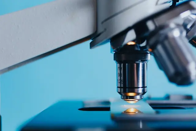 Analyse Technique Boursière : Guide Complet pour Investisseurs Avertis