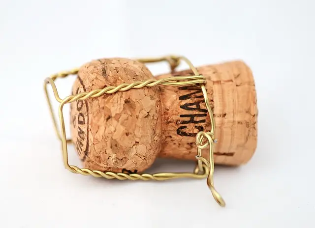 Les Meilleurs Champagnes pour un Dîner Romantique