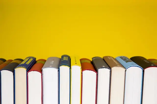 Les erreurs à éviter lors de la souscription à un crédit scolaire