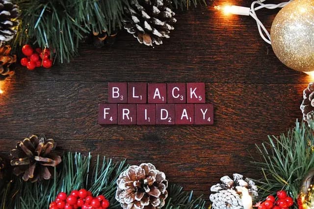 Best Travel Gear Black Friday Discounts