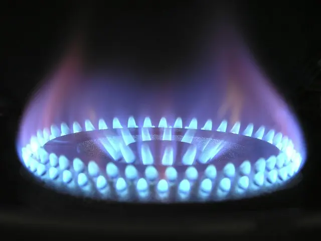 Best Cookware for Gas Stoves: A Comprehensive Guide