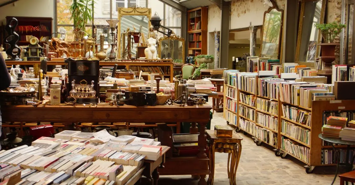 Bien Collectionner : Guide des Objets de Collection